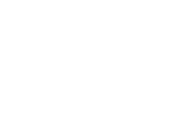 Insight logo